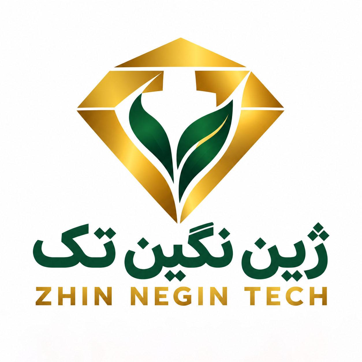 Negin Tech